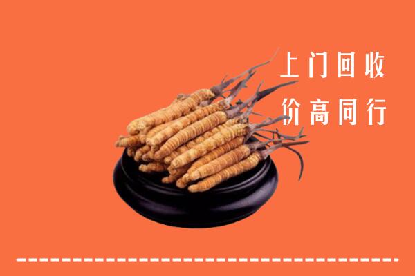 高价求购：墨脱县回收散虫草
