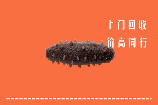 高价求购：墨脱县回收海参